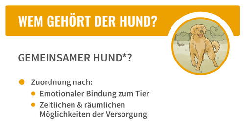 Da Ihr Hund oder Ihre Katze bei einer Scheidung wie Hausrat behandelt wird, sollten Sie an dessen Wohl denken.